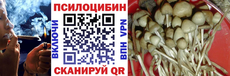 Галлюциногенные грибы мицелий  цена   Юхнов 